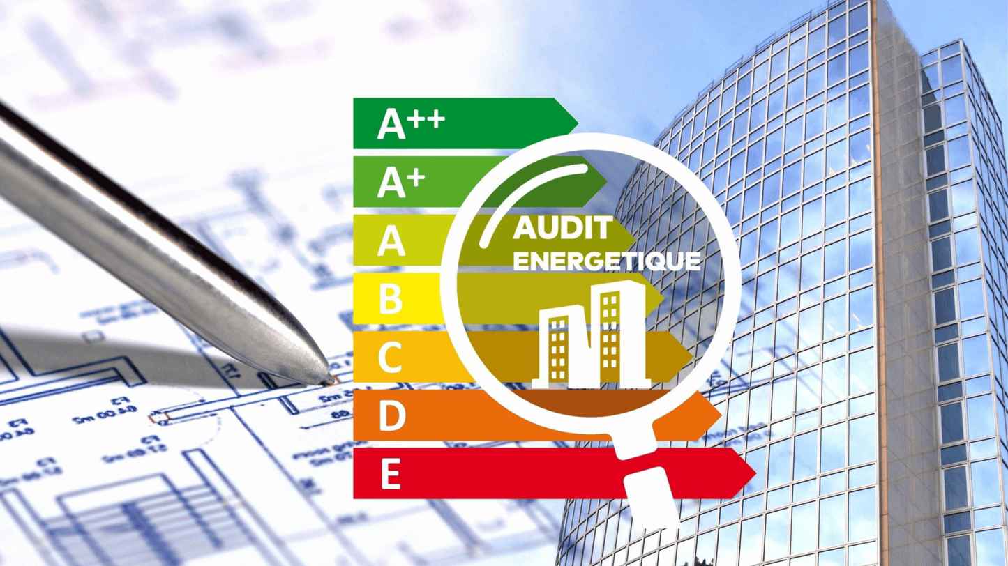 RC PRO AUDIT / MAR